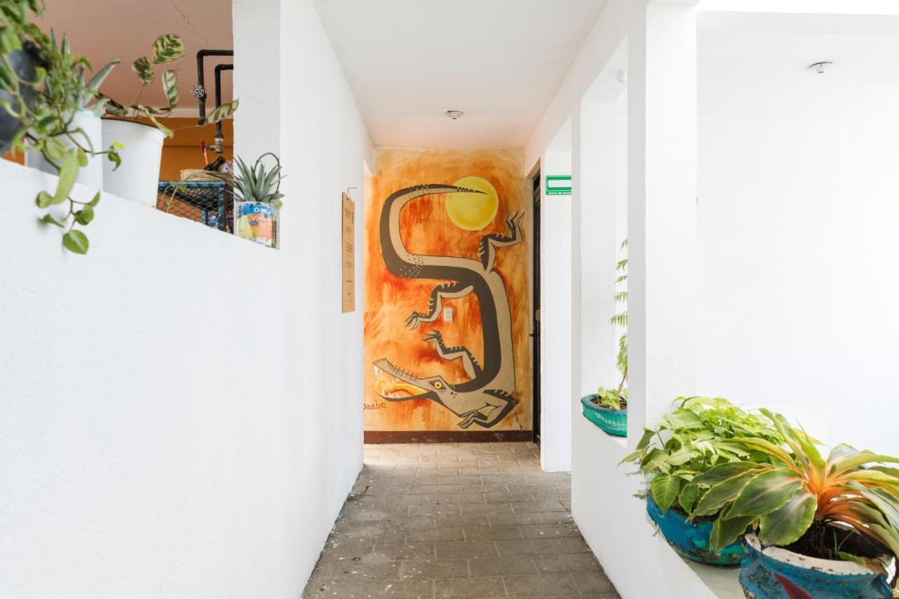 Residencia Artistica Hostel Puerto Escondido  Luaran gambar